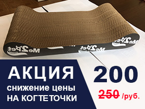 Акция